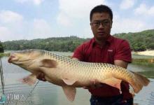 大风浪天外出垂钓鲤鱼的技巧