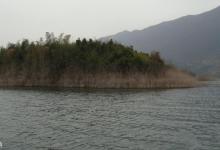 暴雨后什么环境适合钓鱼？