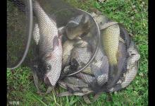 钓鱼遇到大风怎么办？