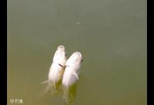 温差是影响冬季垂钓的关键天气因素