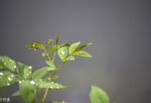 下雨天的出钓原理及钓位选择