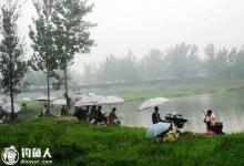 下雨天钓鱼的选位技巧和钓法