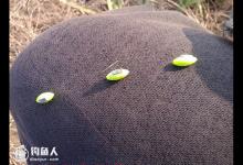 七星漂钓组在冬钓中应注重的3个细节