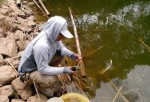 四个钓鱼断竿的原因和应对技巧