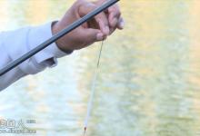 关于竞技钓鱼的浮漂选用见解