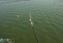 解决海竿主线缠绕竿稍小妙招