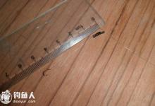 钓鱼脑线的长短优劣分析及其的调节技巧