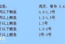 传统钓与台钓的鱼线号数选择与搭配