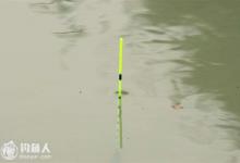 关于钓鱼中浮漂的上浮力解析与说明