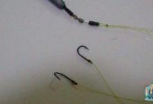 子线长度与钓的对象鱼之间的关系