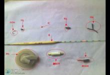 史上最牛B钓组，台钓传统钓兼得