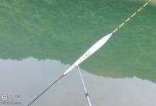 高手分享挑选好浮漂的