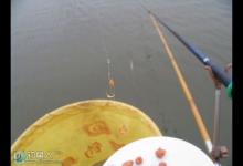 冬季掐鱼的钓组选择建议