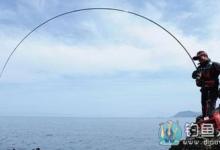 钓鱼高手教大家如何选择好鱼竿