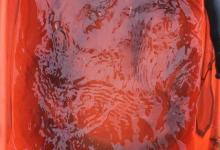 鱼上浮就钓不到了？高手教你这4招，从此拒绝空军