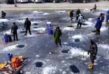 动态诱鱼效果好？别让冰钓逗引变拖累