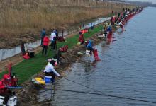 鱼饵好渔获就好？钓鱼也有十三姨，只关注饵料不行