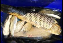 渔获不如意！埋怨解决不了问题，5个心得翻倍轻松