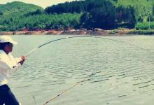 前脚刚脱钩，后脚又来吃，你以为鱼傻？