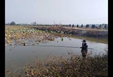 野钓七星漂更灵敏的使用方法和调漂技巧