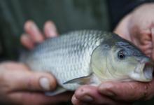 野钓大鱼时候，比较忌讳这4点