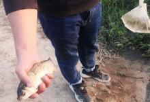 四季垂钓，钓友重视这些小细节，钓好鱼不难