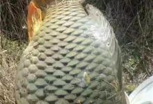 为什么钓不到大鱼？并不是没有鱼，而是被忽悠了