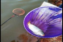 水中有鱼不咬钩，从这些地方下手，让鱼儿开口不难