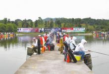 竞技比赛钓混养，学会远攻近交才行