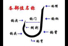 新手学钓鱼1_如何绑钩？