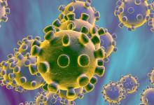 冠状病毒会通过野生鱼传染吗？现在能出去野钓吗