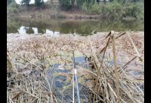 野钓的天气时间、钓具、钓位的选择，与鱼饵、窝料的实用