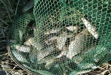 10多年垂钓经验总结出来的钓鱼心得