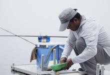 野钓鲤鱼的5个技巧，选钓位保窝和饵料