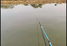 钓鱼请正视浆层问题，怕鱼找不到钩饵，可以这样解决