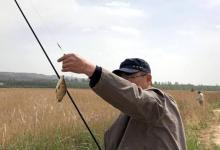 在水草区域钓鱼时的3个作钓技巧，以及需注意相关事项