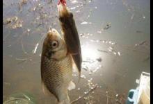 野钓新手开钓前，想要有渔获，这几件事得做到新手有数