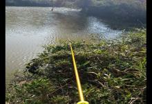 冬季野钓鲫鱼该钓多深？