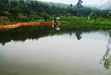 垂钓中哪些因素会导致鱼儿突然停口？