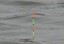 老钓手看一眼漂相就知道是什么鱼