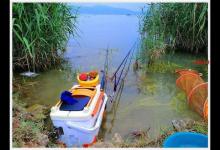 秋天野钓的黄金钓位，助你鱼获满满！