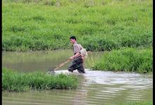 鱼被电过多久能作钓？好钓鱼告诉你
