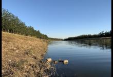 明明窝里有鱼，却不爱吃饵？掌握这些要点