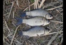 冬季野钓的五个小技巧，你钓不到鱼的原因找到了