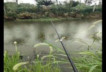 初冬为什么窝点有鱼不咬钩？野钓窝点有鱼不吃饵原因