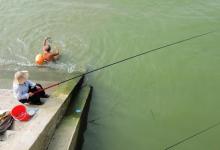 野钓鲫鱼可不比黑坑，饵料用的好渔获更给力