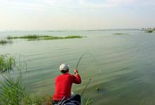 盘点野钓中的4大误区，少犯错就能多上鱼