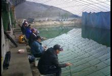 掐鱼怎么玩？掐鱼的钓具选择与技巧