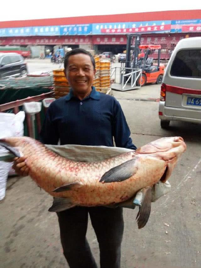 祖上留下来的传统钓法，大炮竿钓法详解_钓鱼技巧_爱钓鱼