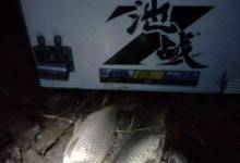 炎夏夜钓，这7个技巧助你轻松钓上大鲤鱼